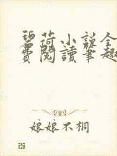 碧荷小说全文免费阅读笔趣阁