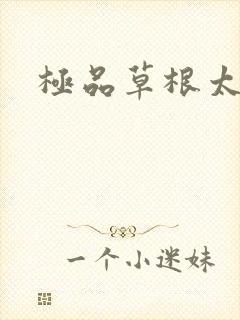 极品草根太子