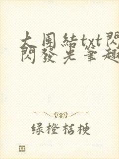 大团结txt闪闪发光笔趣阁