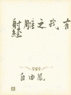 射雕之我有太玄经