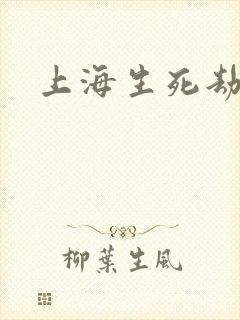 上海生死劫