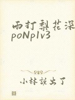 雨打梨花深闭门poNp1v3