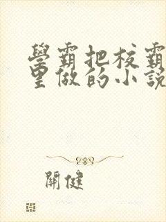 学霸把校霸往死里做的小说