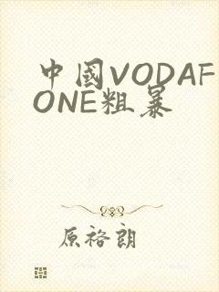中国VODAFONE粗暴