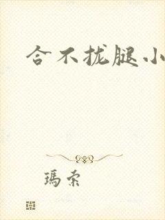 合不拢腿小说