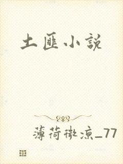 土匪小说