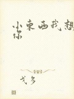 小东西我想弄坏你