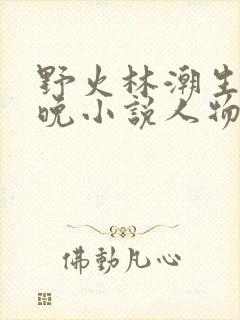 野火林潮生林晚晚小说人物野火