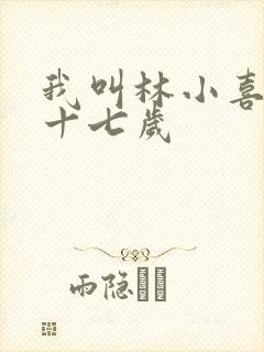 我叫林小喜今年十七岁