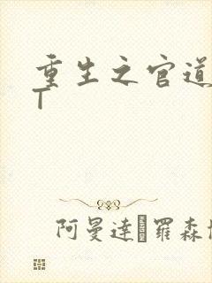 重生之官道TXT