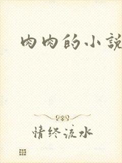肉肉的小说