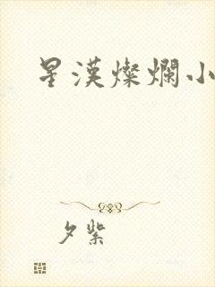 星汉灿烂小说