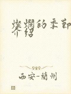 灿烂的季节剧情介绍