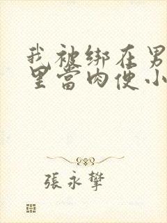 我被绑在男公厕里当肉便小说