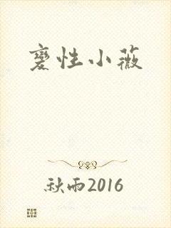 变性小薇