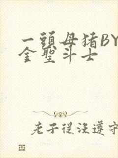 一头母猪BY黄金圣斗士