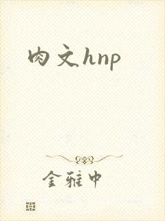 肉文hnp