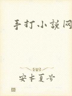 手打小说网