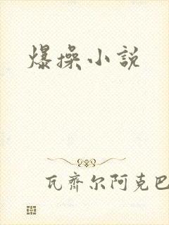 爆操小说