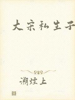 大宋私生子