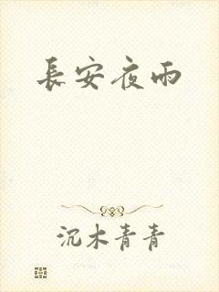 长安夜雨
