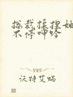 总裁揉捏她两乳不停呻吟