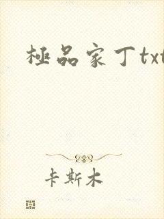 极品家丁txt