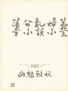 荡公乱妇第51章小说小莹