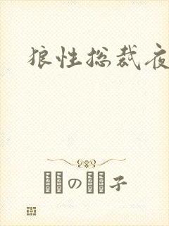 狼性总裁夜欢宠