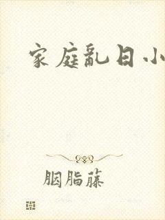 家庭乱日小说