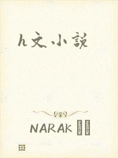 h文小说