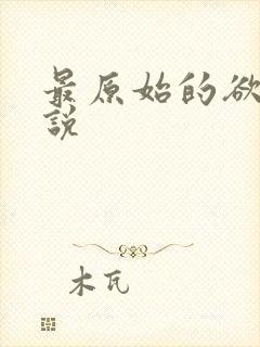 最原始的欲望小说