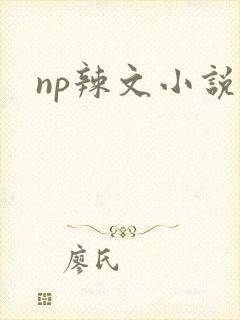 np辣文小说
