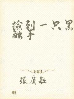 捡到一只黑心小触手