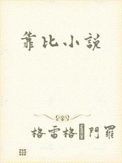靠比小说