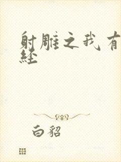 射雕之我有太玄经