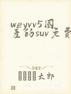 weyvv5国产的suv免费