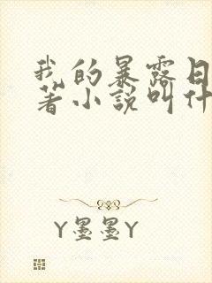 我的暴露日记原著小说叫什么