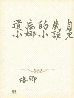 遗忘的岁月老林小娜小说免费阅读
