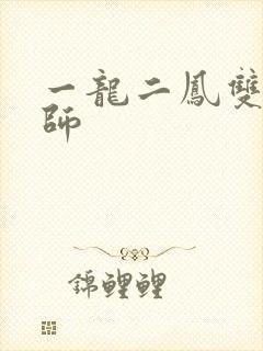一龙二凤双飞老师