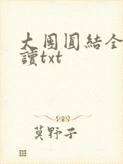大团圆结全文阅读txt