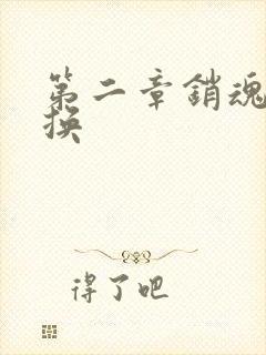 第二章销魂的交换