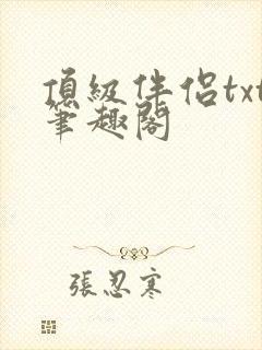 顶级伴侣txt笔趣阁