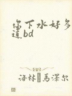 你下水好多下水道bd