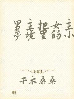 男主把女主拖进梦境里的小说