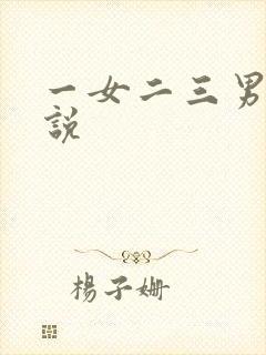 一女二三男事小说