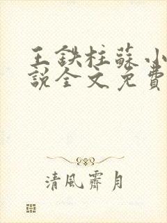 王铁柱苏小汐小说全文免费阅读最新章节