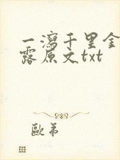 一泻千里金银花露原文txt