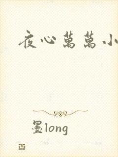 夜心万万小说
