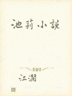 池莉小说